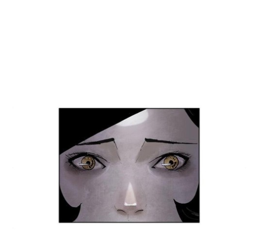 16003660264375.jpg