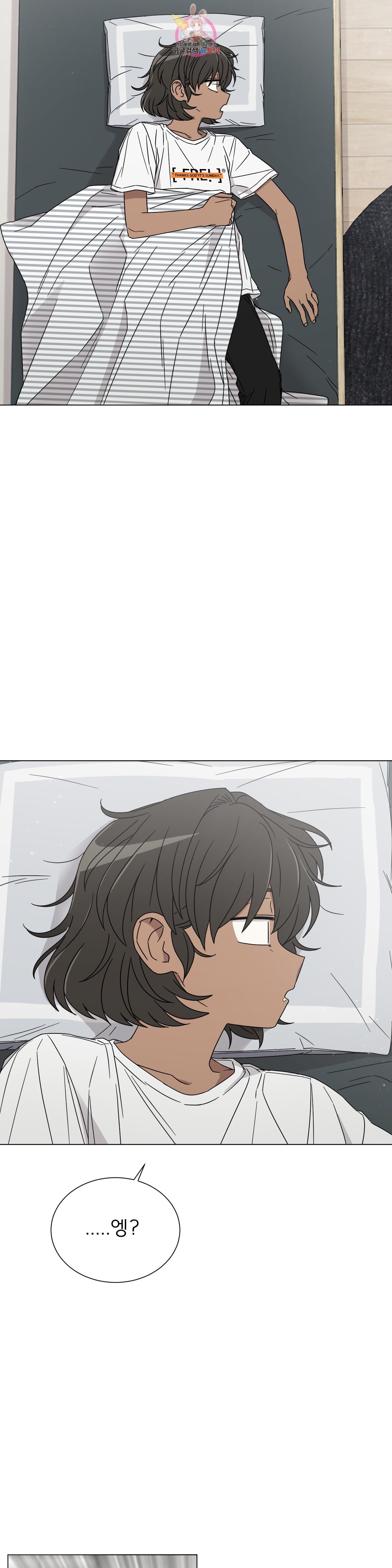 16005061267728.jpeg