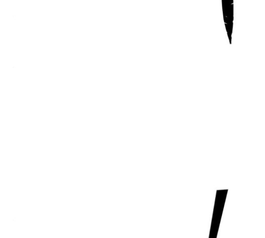 16008030347923.jpg