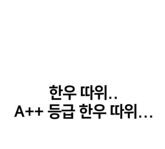 16008030687405.jpg