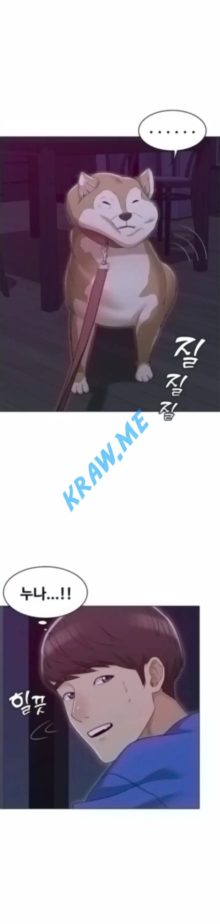 16008803932843.jpeg