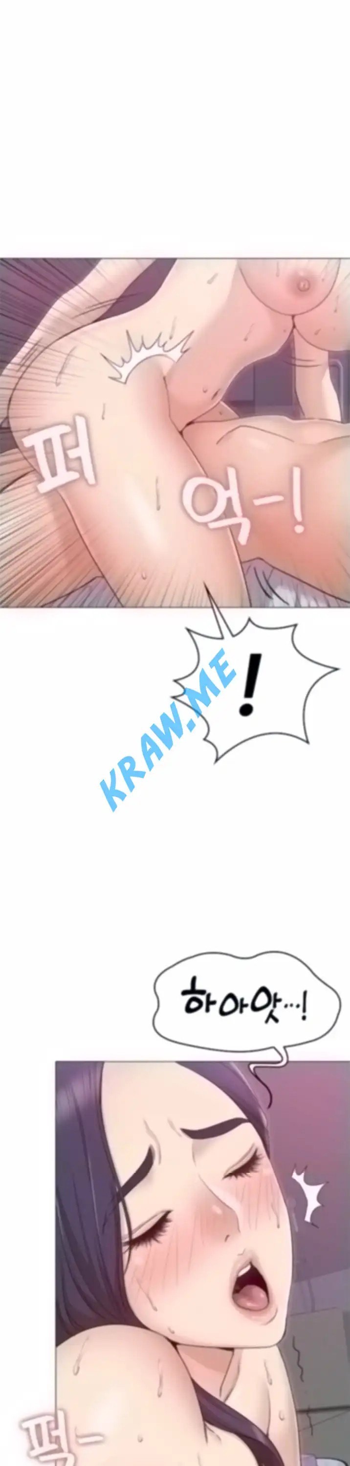16008804088003.jpeg