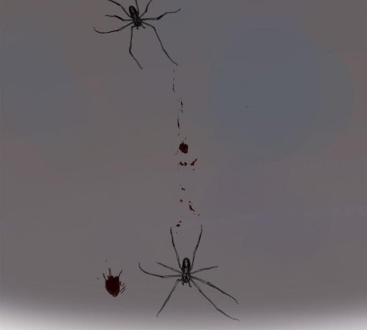 16010005192473.jpg
