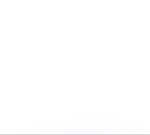 16011456451137.jpg