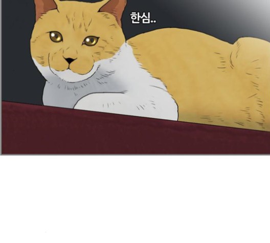 16012522326373.jpg