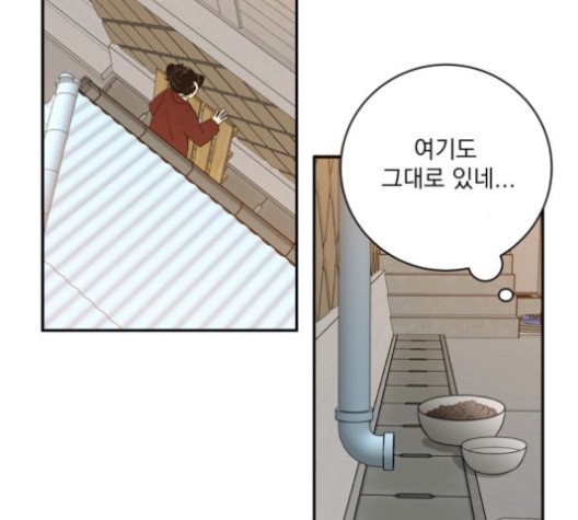 16026215899.jpg
