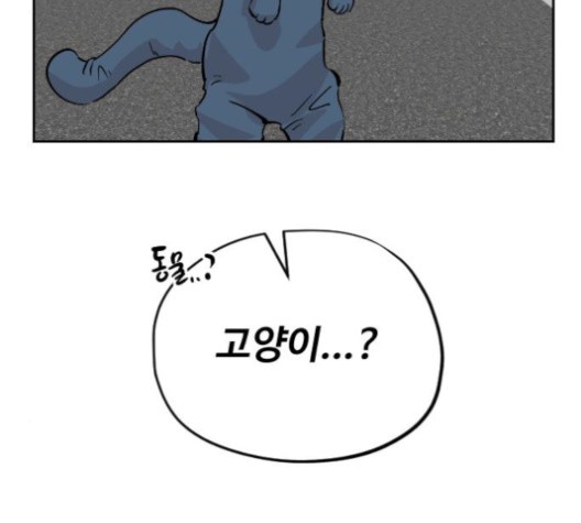 1602764395517.jpg