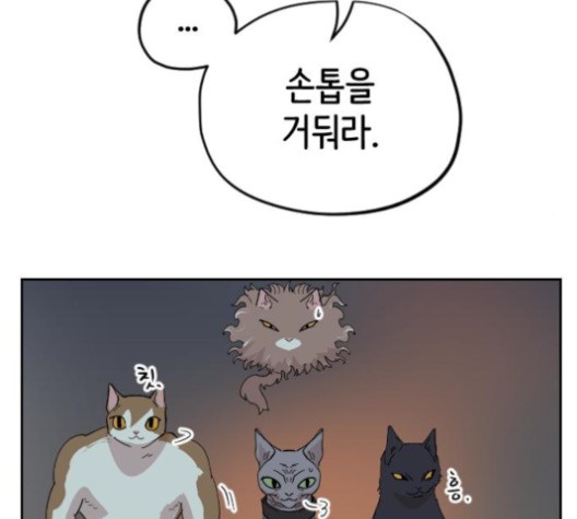 16027644071331.jpg