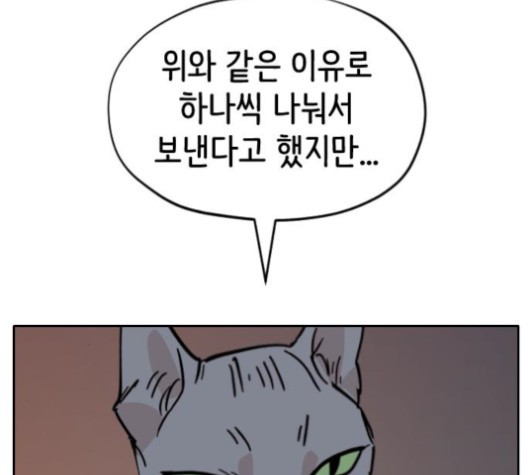 16027644101533.jpg