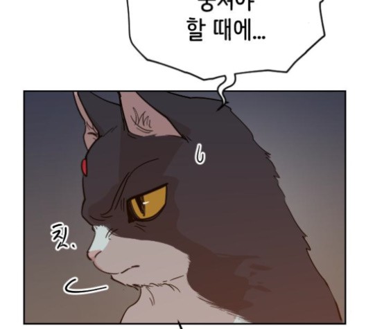 16027644116655.jpg