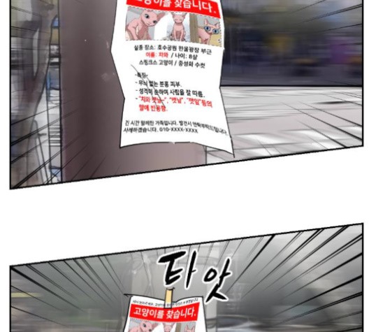 16027644487079.jpg