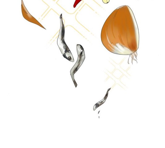 16033260274036.jpg