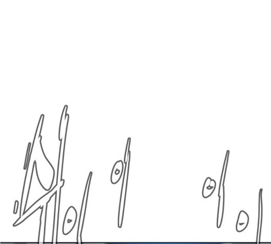 16033270961352.jpg