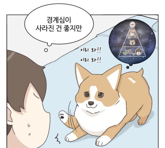 16034046979259.jpg