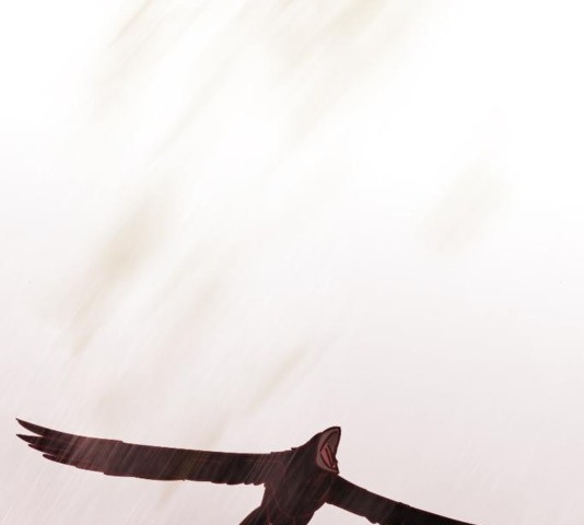16035048037397.jpg