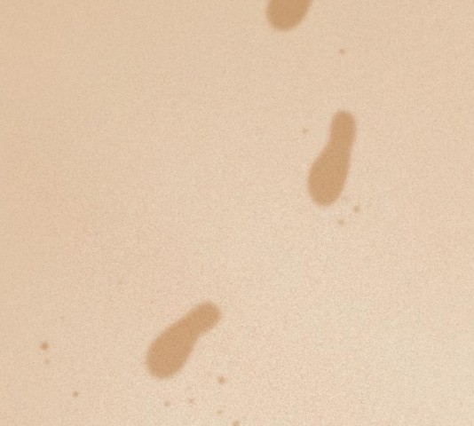 16035922092452.jpg