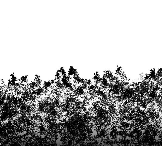 16036819085781.jpg
