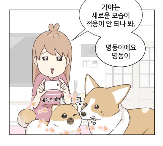1604025696746.jpg