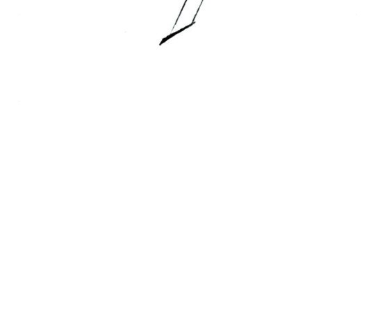 1604736269443.jpg