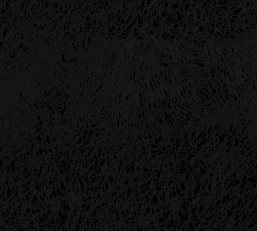 16053037702432.jpg