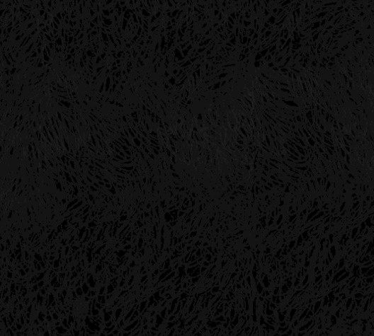 16053037705424.jpg