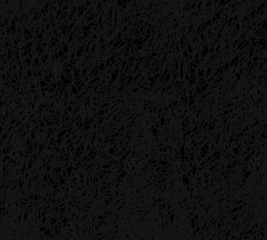 1605303774237.jpg