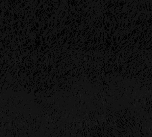 16053037806772.jpg