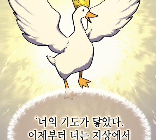 16053801414659.jpg