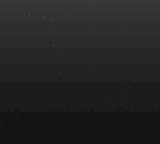 1605644140648.jpg