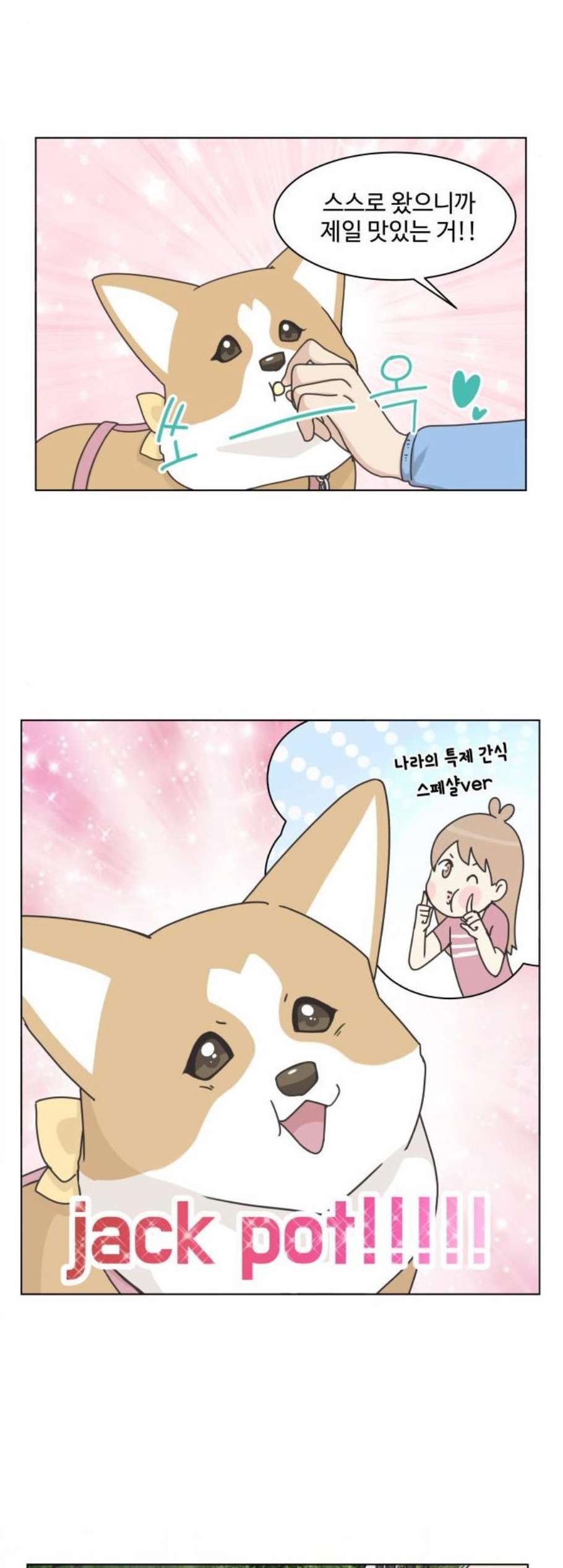 16058929807995.jpg
