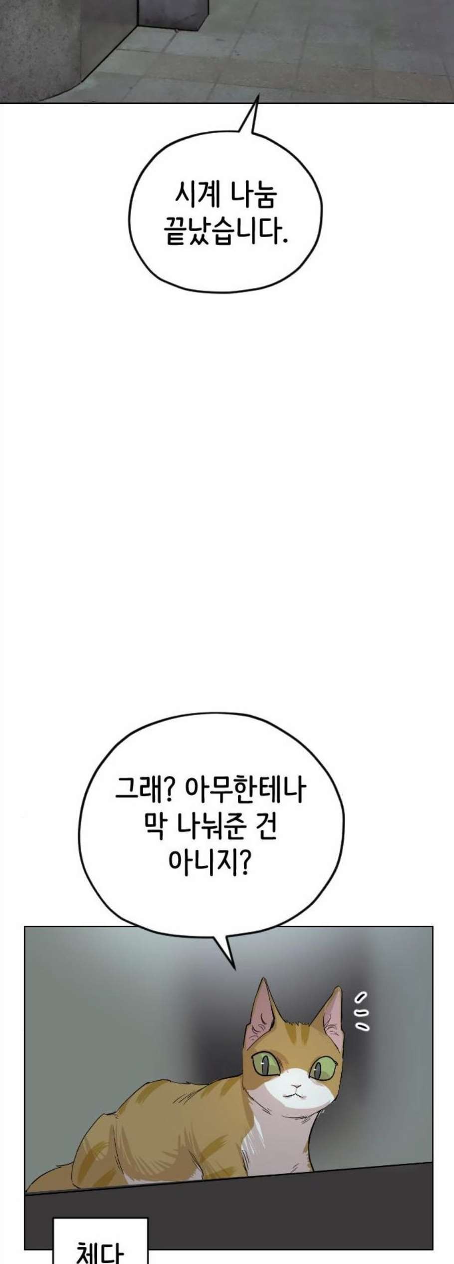 16059181277132.jpg
