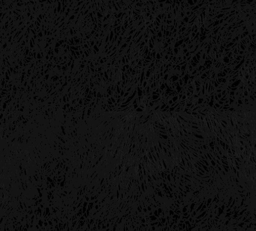 16059931783179.jpg