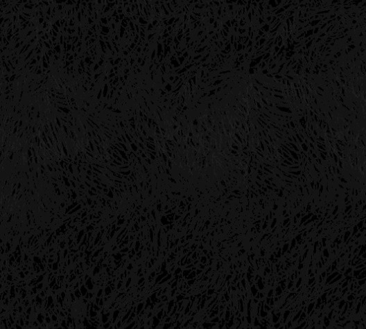 16059931801668.jpg