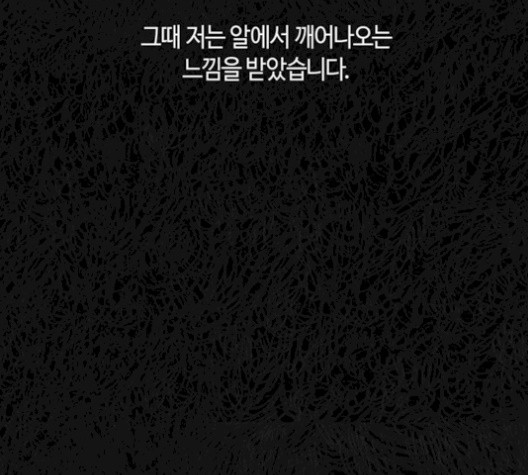 16059931839322.jpg