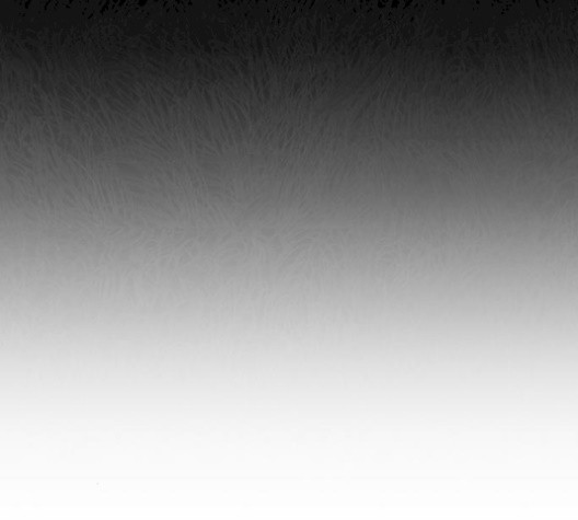 16059931868367.jpg