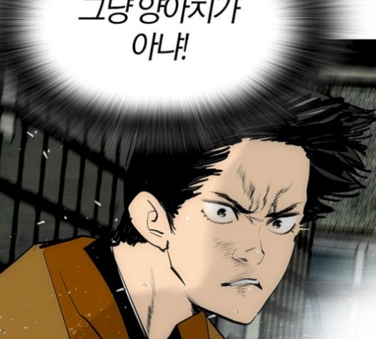 16059973528779.jpg