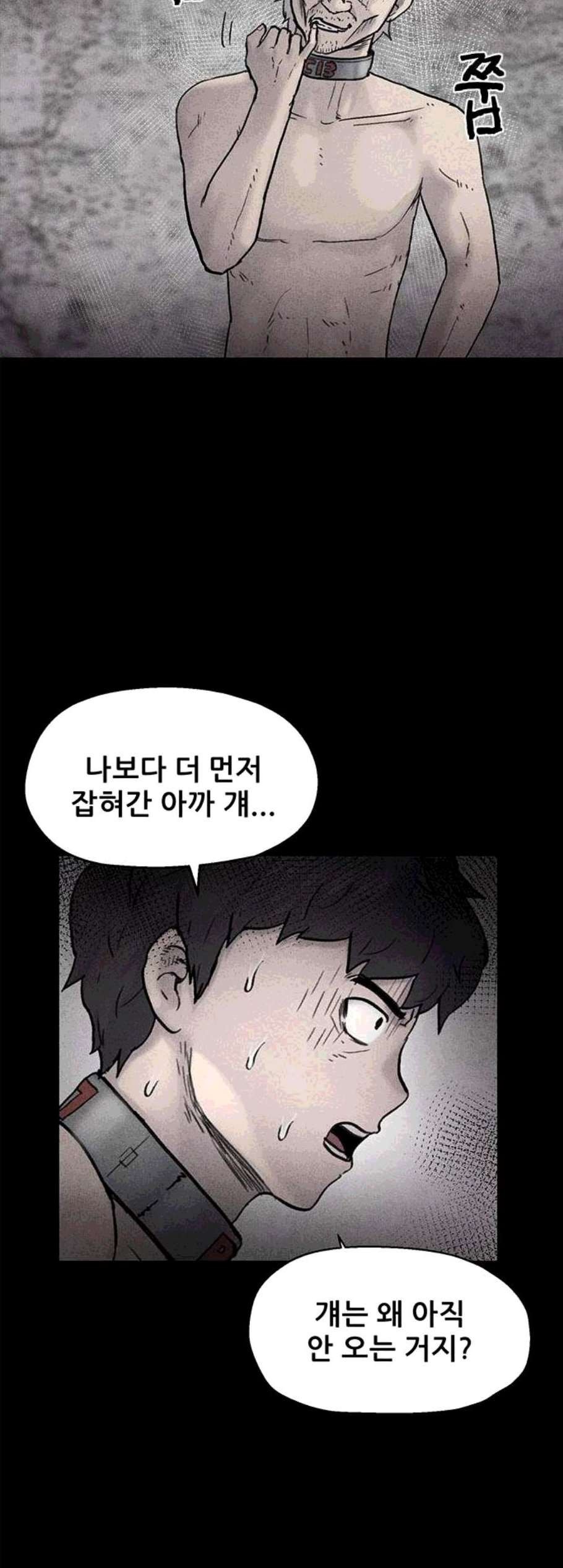 16060802590783.jpg