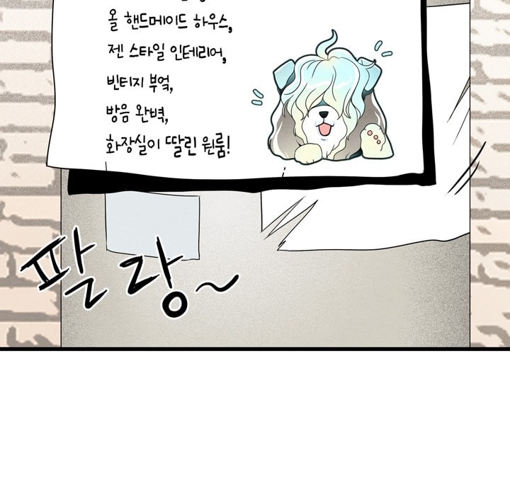 16071713763528.jpg