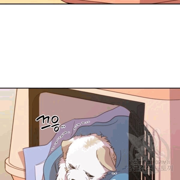 16075550420912.jpg