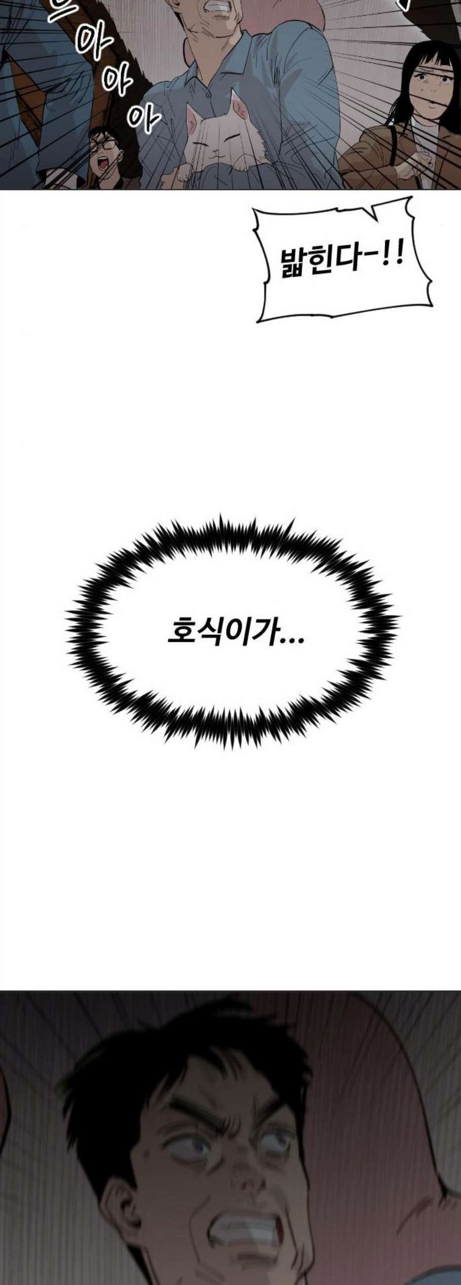 16075636111067.jpg