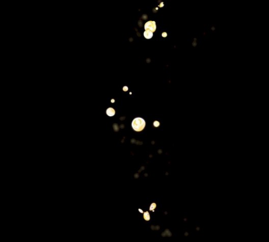 16075639368476.jpg