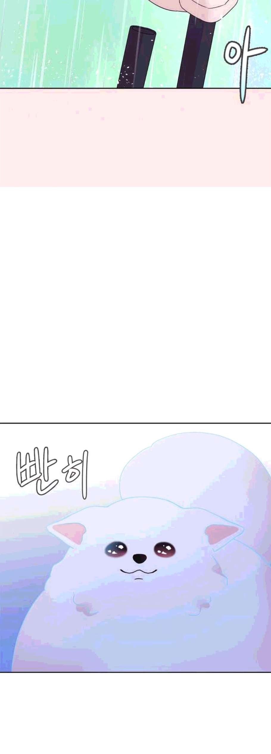16079468308669.jpg