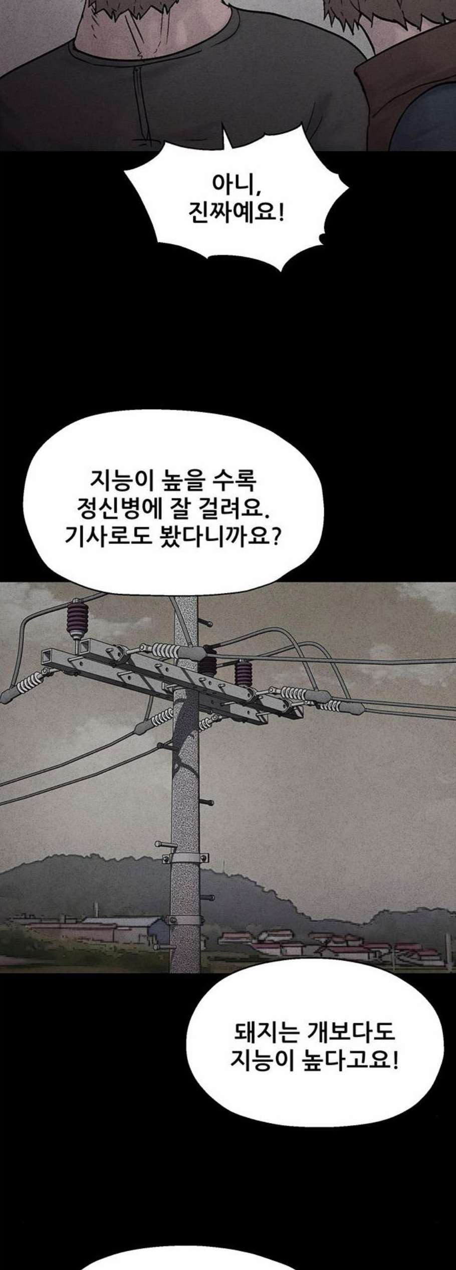 16082157407243.jpg