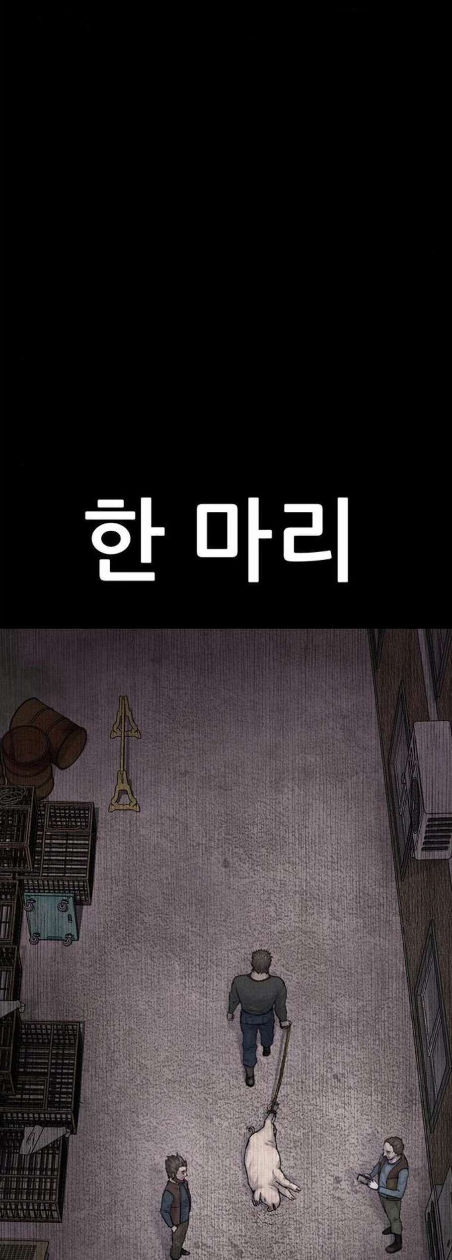 16082157454757.jpg