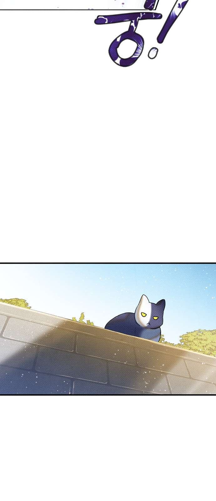 16097970513659.jpg