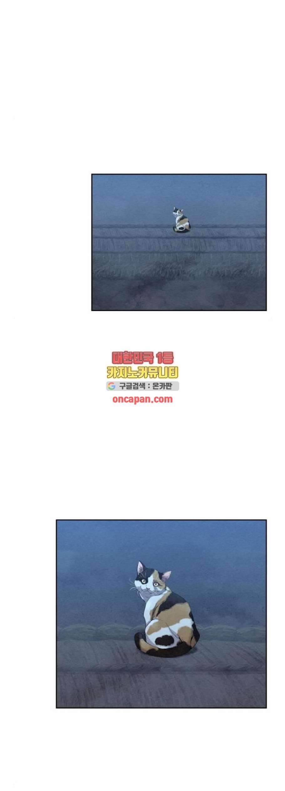16098517096665.jpg