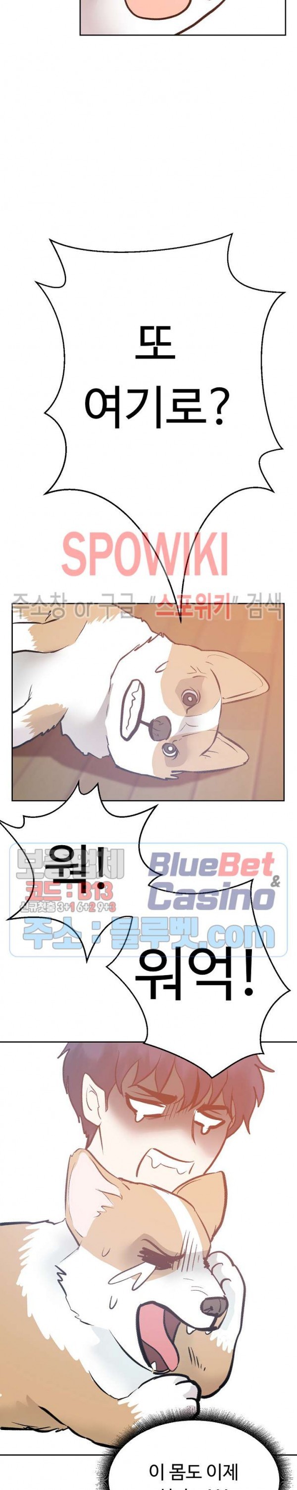 16100027071074.jpg