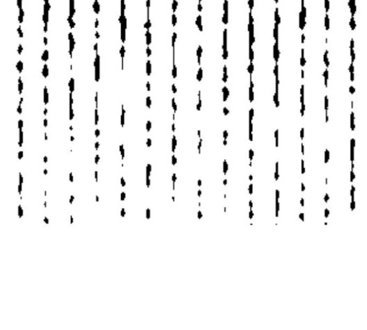 1610179474357.jpg