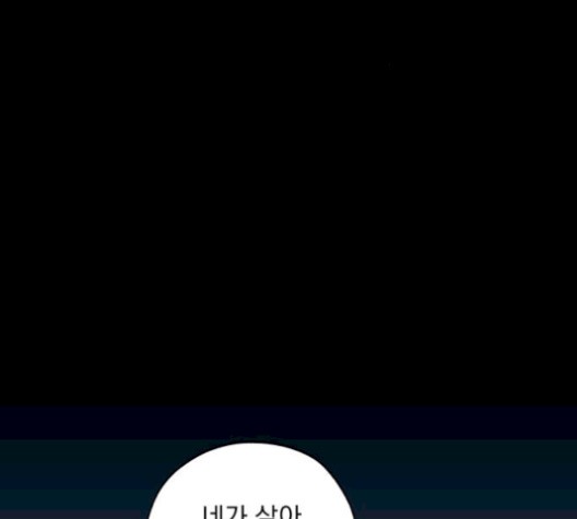 16103908300266.jpg
