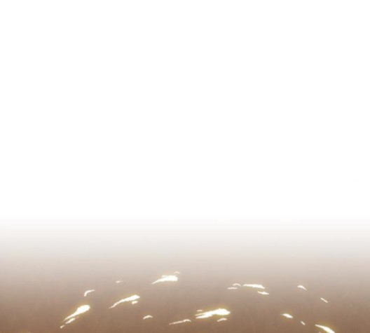 16103933419196.jpg